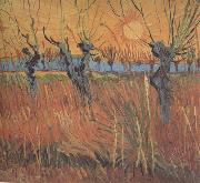 Vincent Van Gogh Willows at Sunset (nn04) Spain oil painting artist